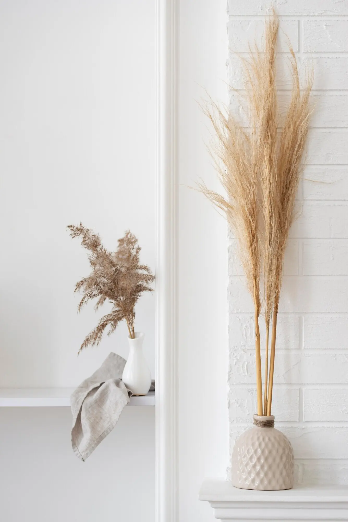 Hauspflanze in Vase im Dekorationssortiment