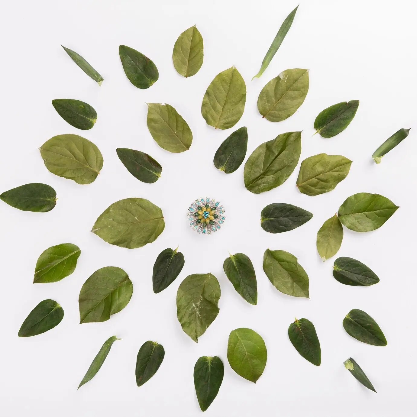 Kaktus inmitten von Blättern